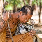 asianman-hugging-big-cat