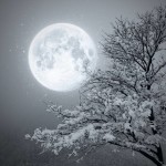 moonwinter