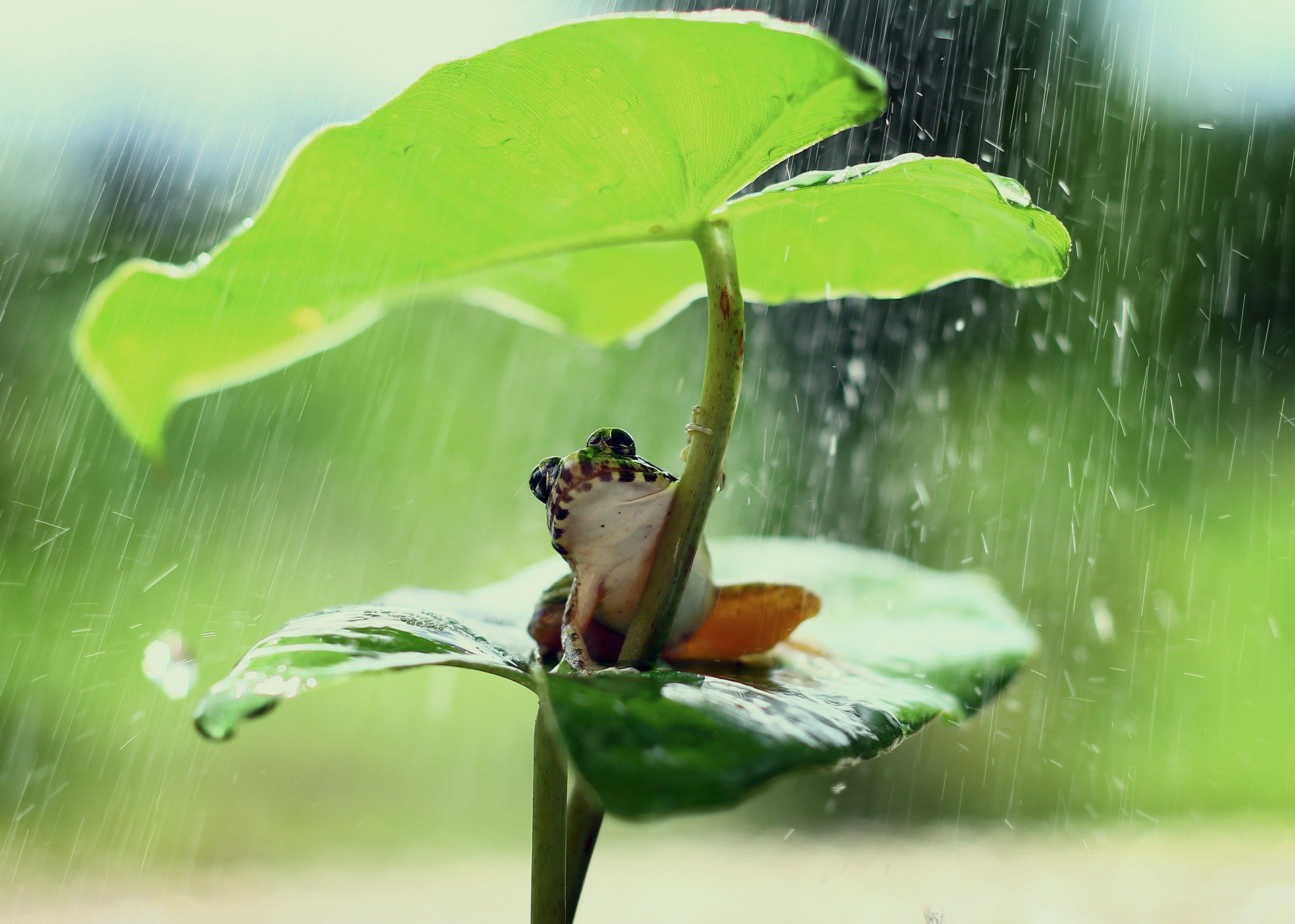 GETTING READY FOR SATURN RETROGRADE JUNE 4OCT 22 Applied Vedic